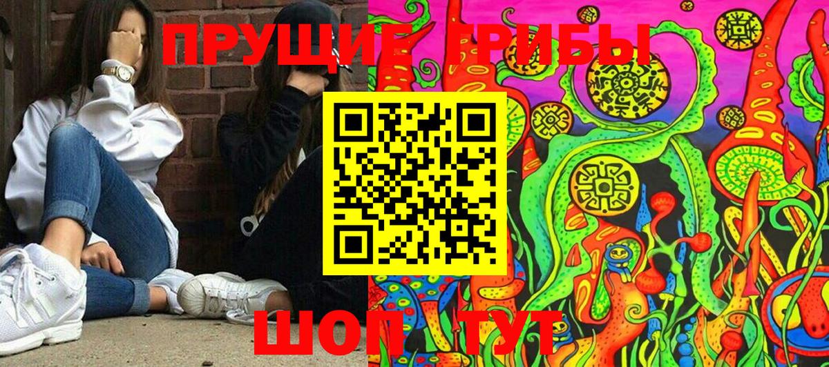 Псилоцибиновые грибы Psilocybe  Галлюциногенные грибы GOLDEN TEACHER  магазин  наркотиков  Сертолово  Вход с VPN 